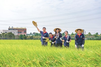新業(yè)一畝田｜走過11年，心像一畝田