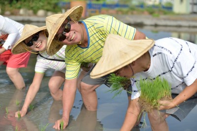 新業(yè)，一畝田插秧體驗日