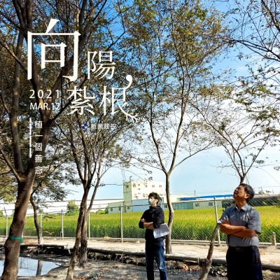 向陽(yáng)紮根｜種一個(gè)善念