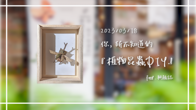 生活習(xí)作 × 你．所不知道的 - 植物昆蟲(chóng)DIY